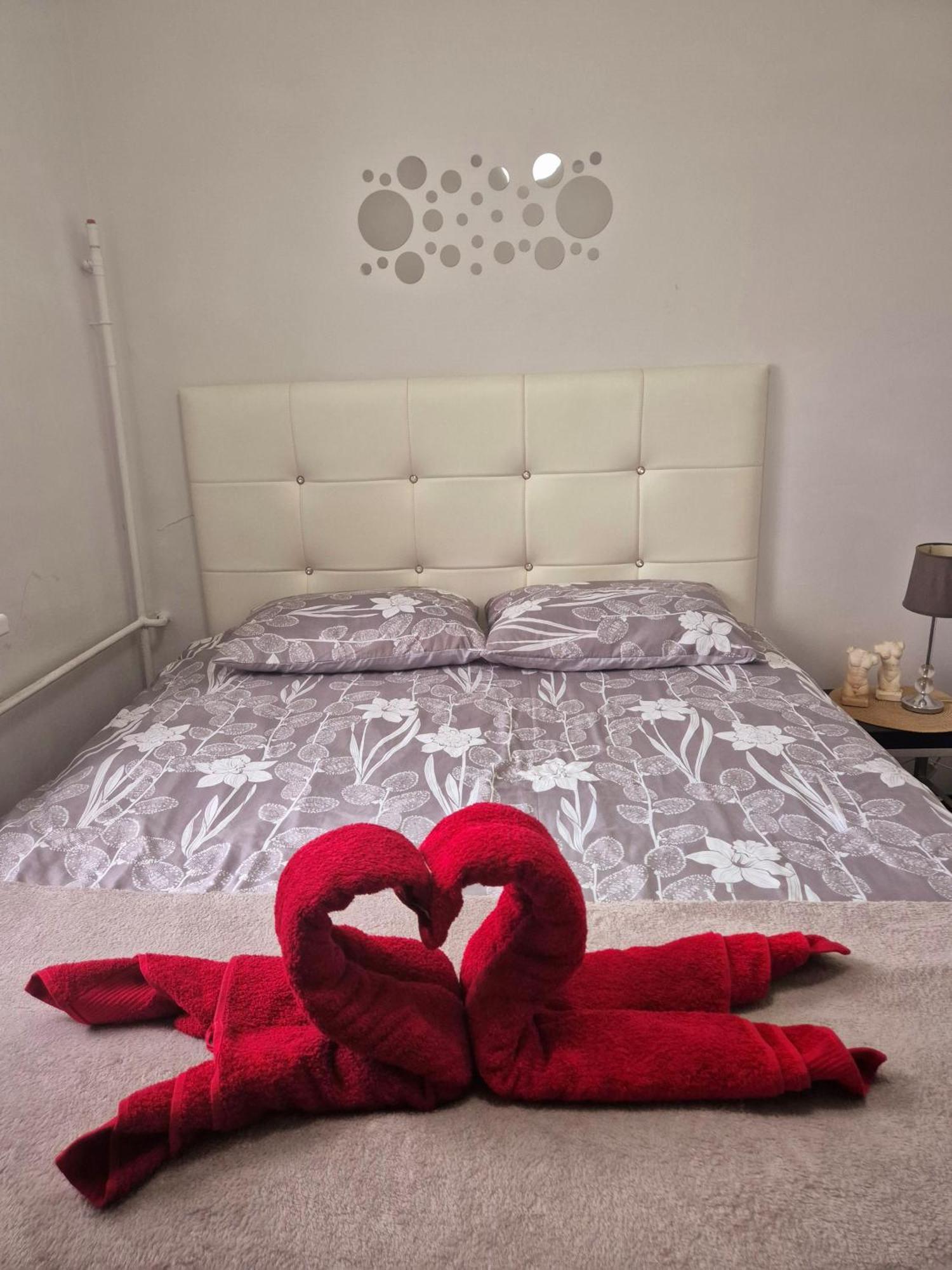 Apartament Zdunska Włocławek Eksteriør billede